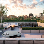 36 Birch – image 4