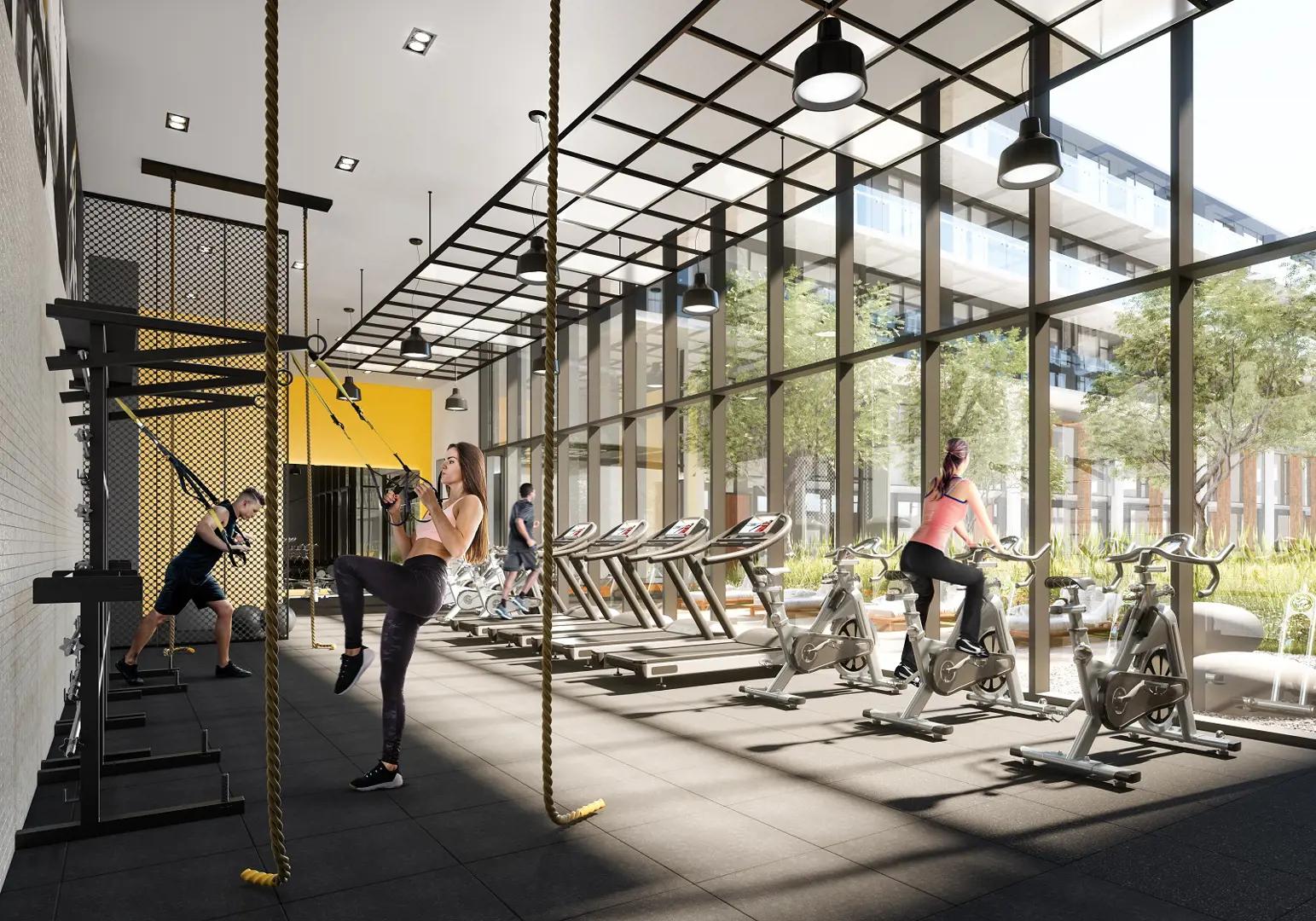 Canary Commons – image 5