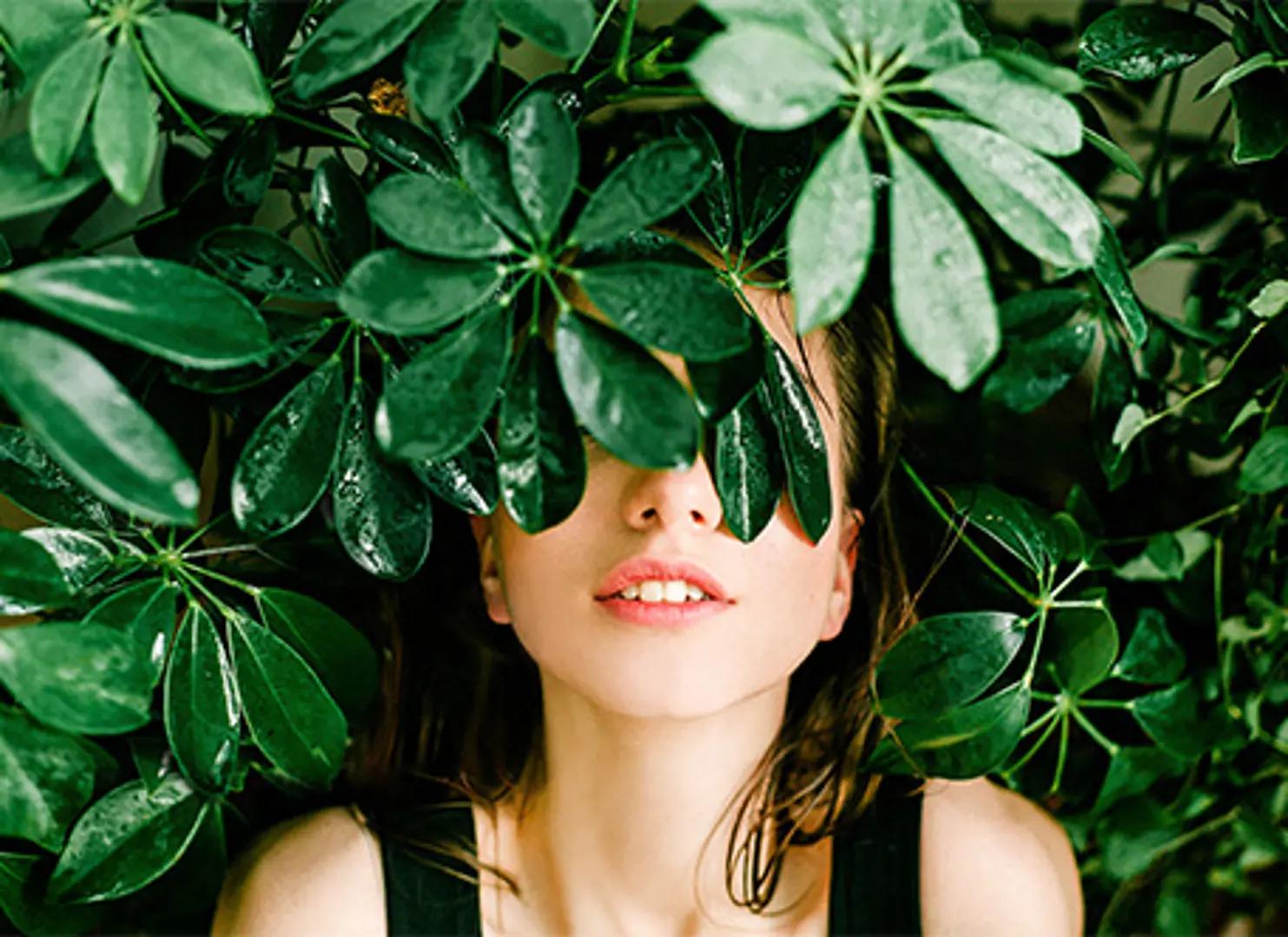 Charisma - Phase II – image 3