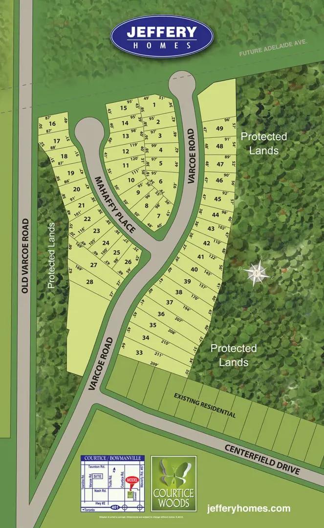 Courtice Woods – image 4