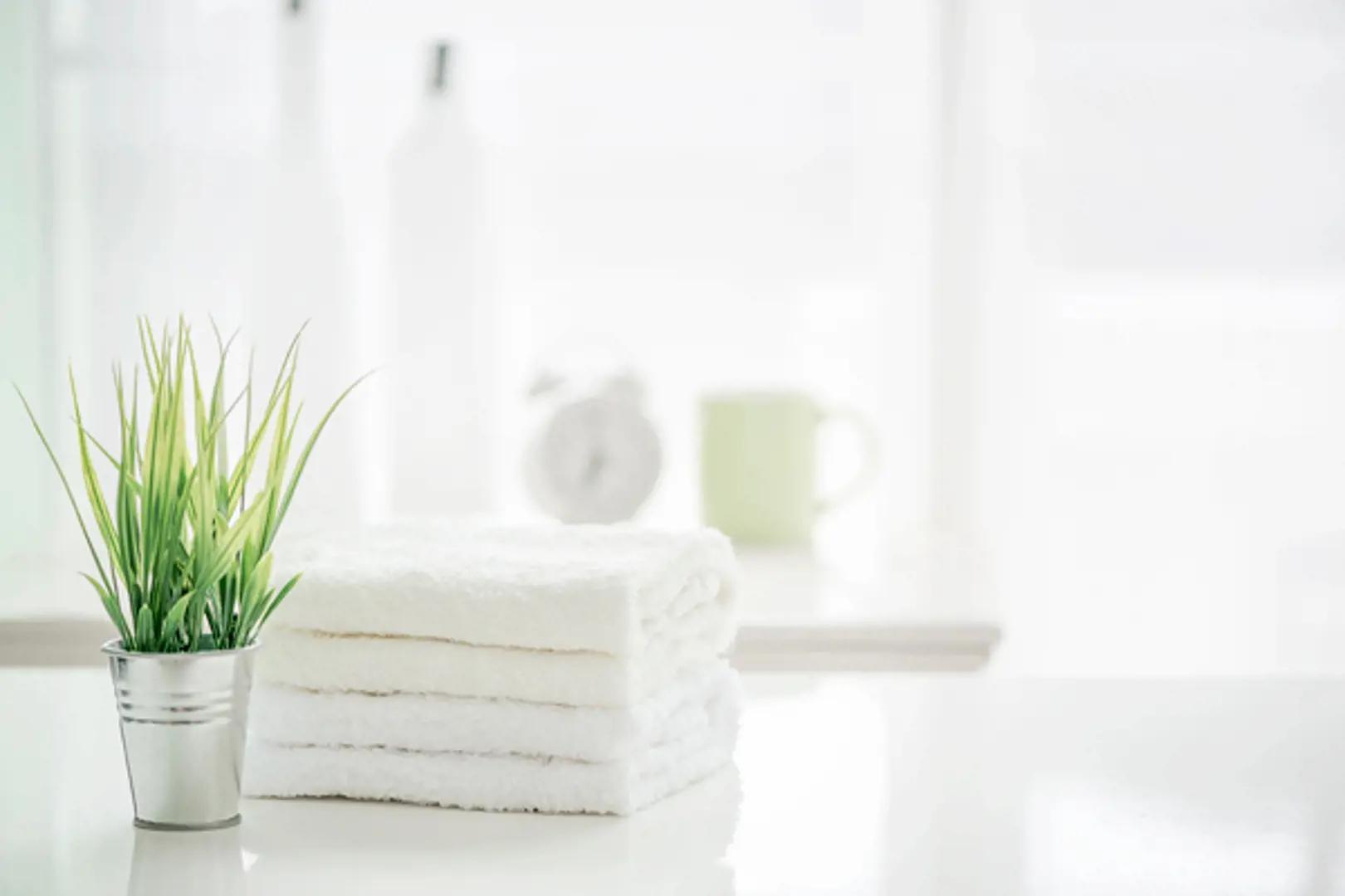 Milton’s Bronte West – image 5