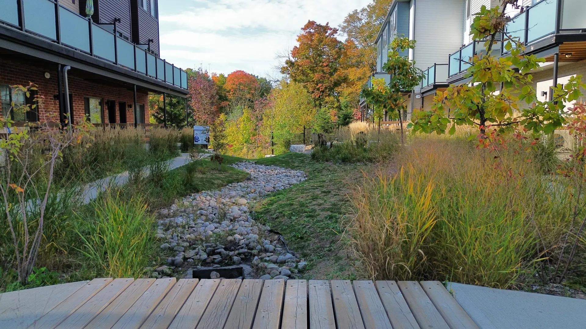 Sean Final Phase – image 3