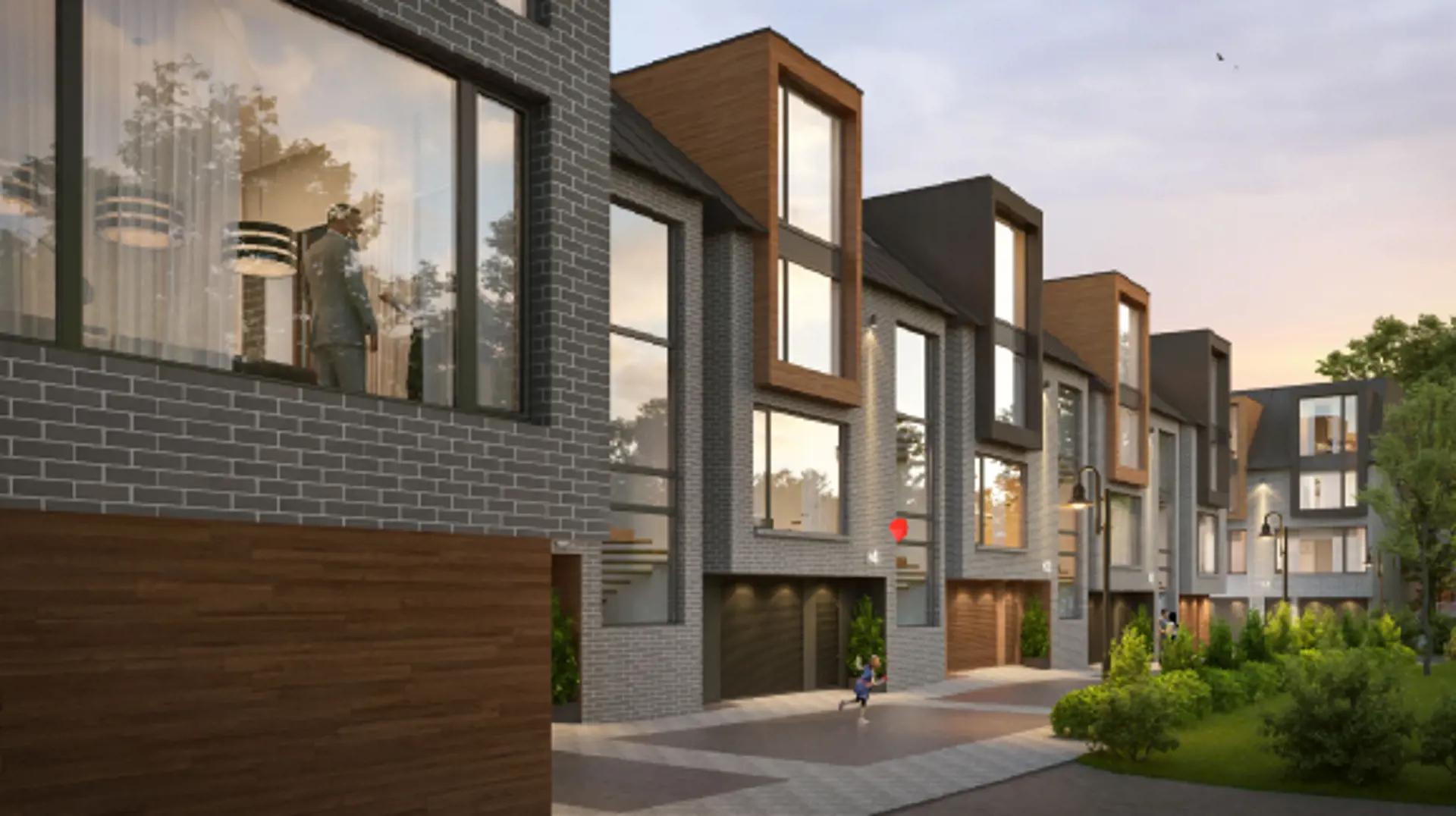 The Rays – image 2