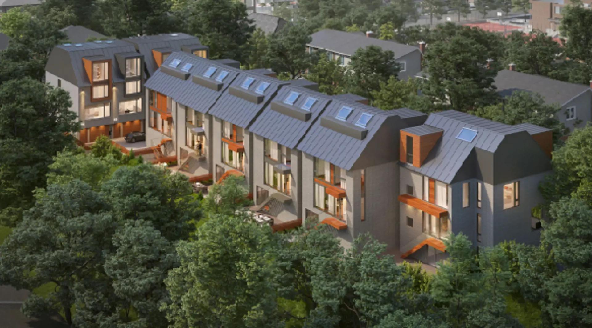 The Rays – image 3