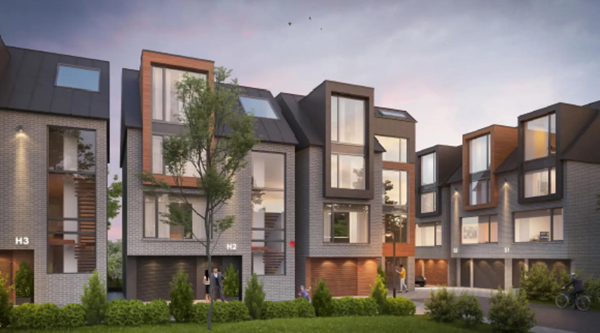 The Rays – image 5