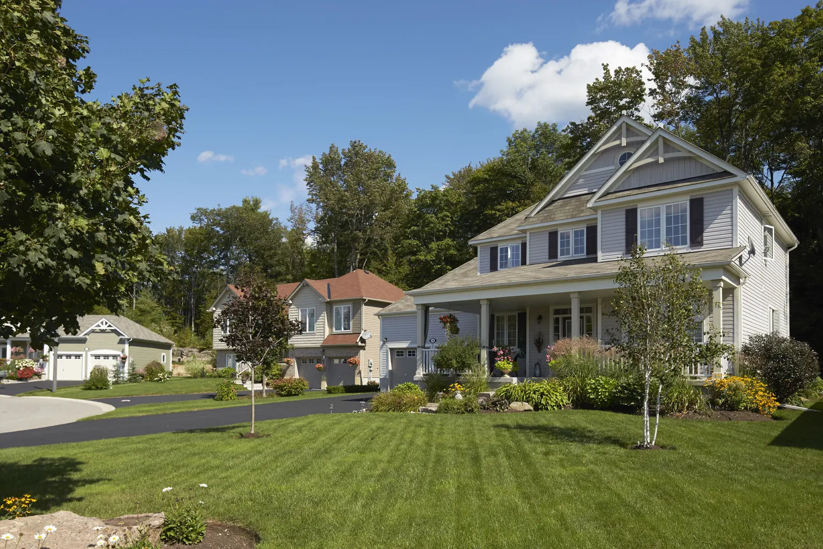 White Pines – pre-construction in Bracebridge