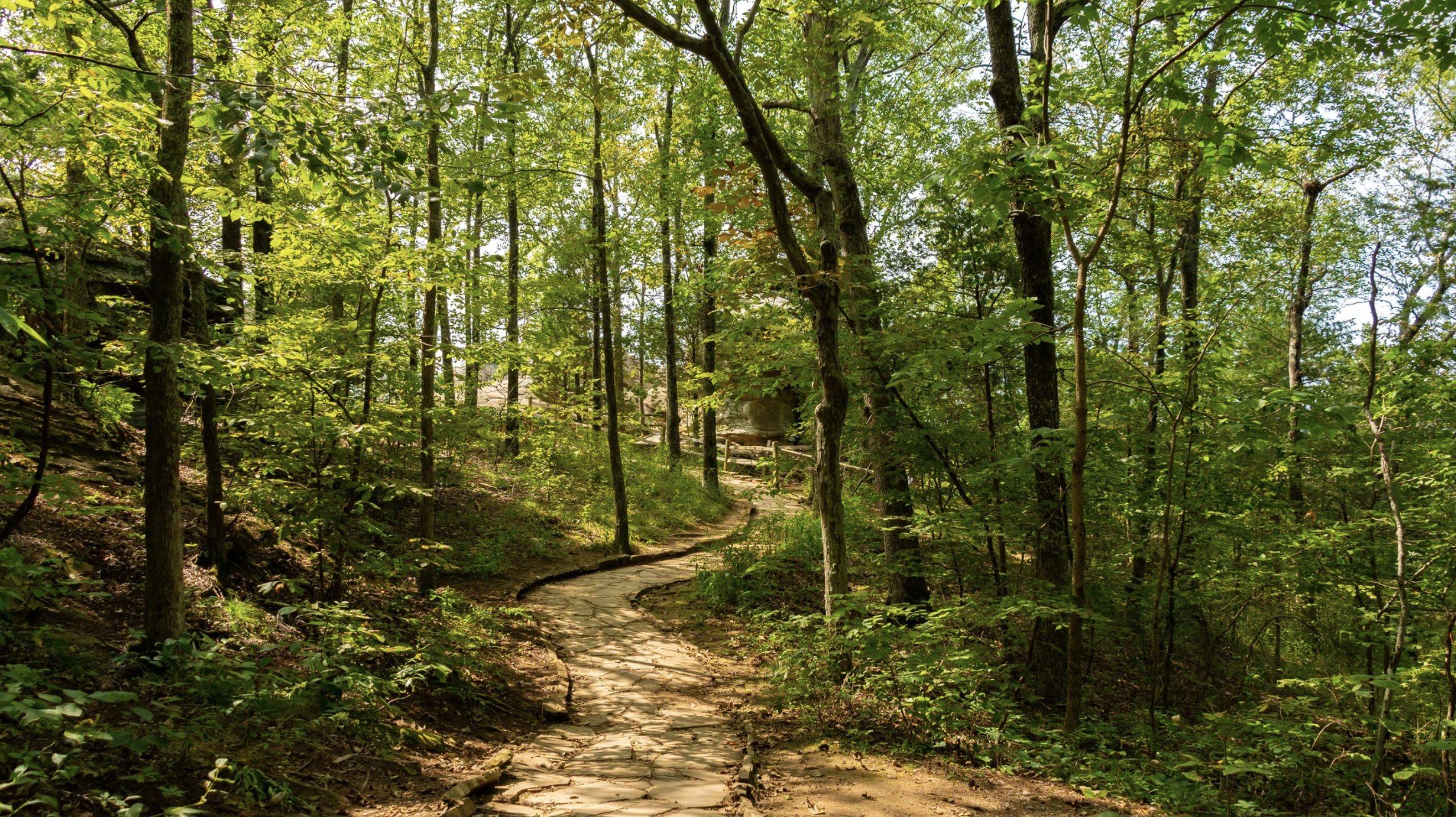 The Brook – image 3