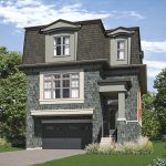 Central Park Ajax – image 4