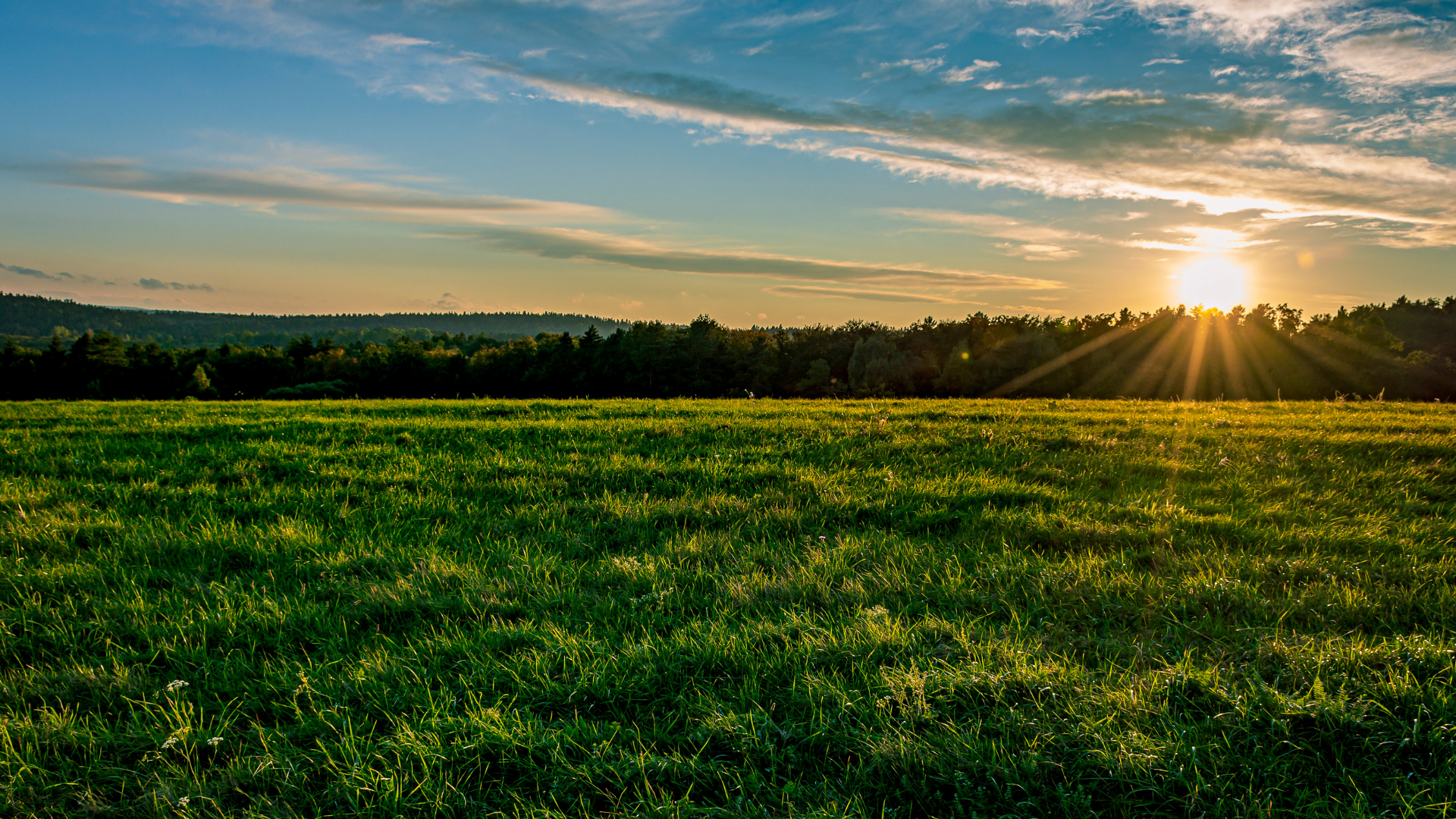 Homeward Hills – image 5