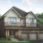 Palmetto – image 4