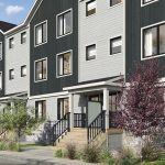 Wildflower – image 4