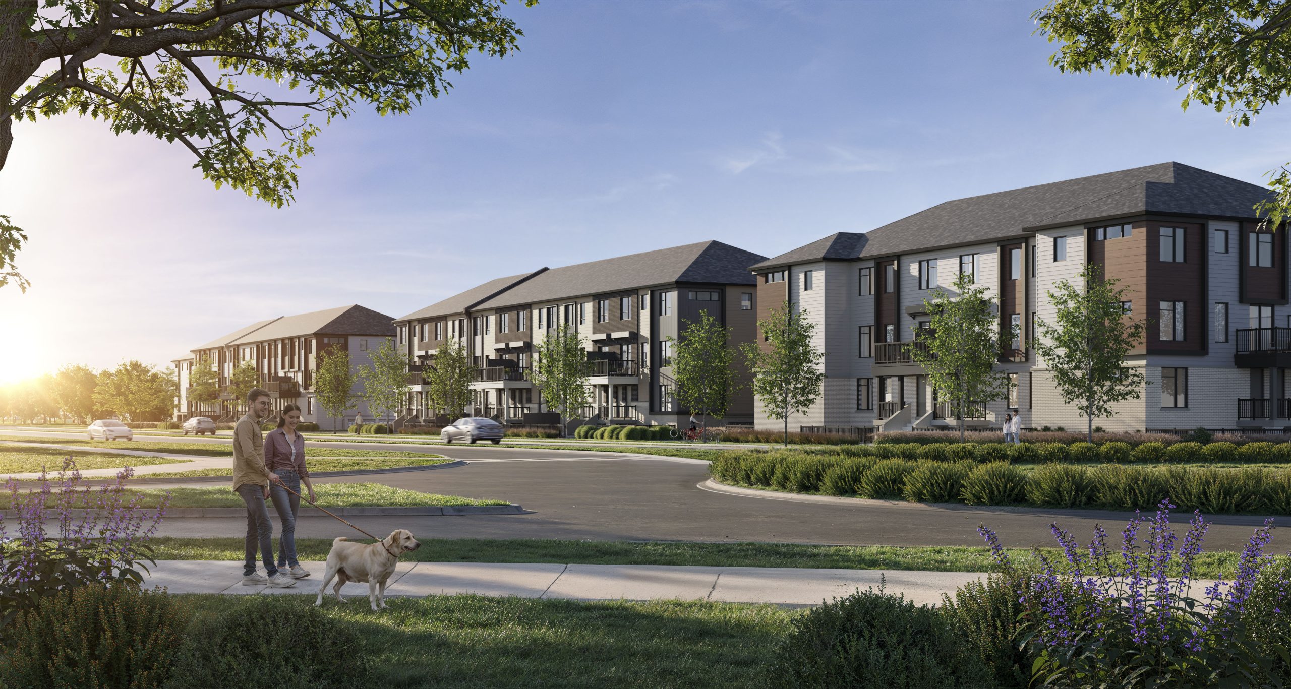 The Heights of Harmony – image 5