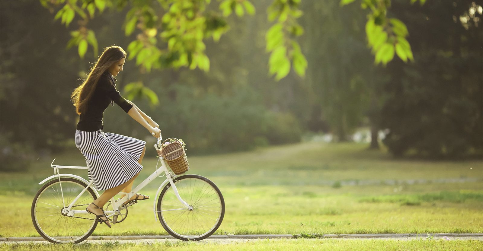 The Howard High Park Condos
