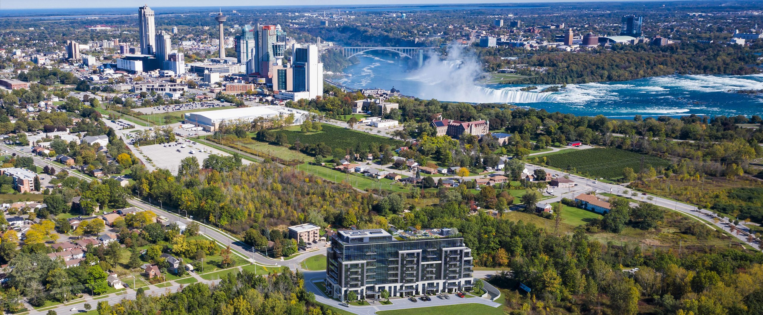 The Mist – image 2