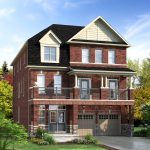 The Neighbourhoods of Mount Pleasant – image 3