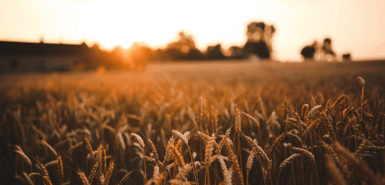 The Point – pre-construction in Niagara