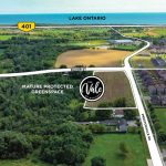 The Vale – image 2