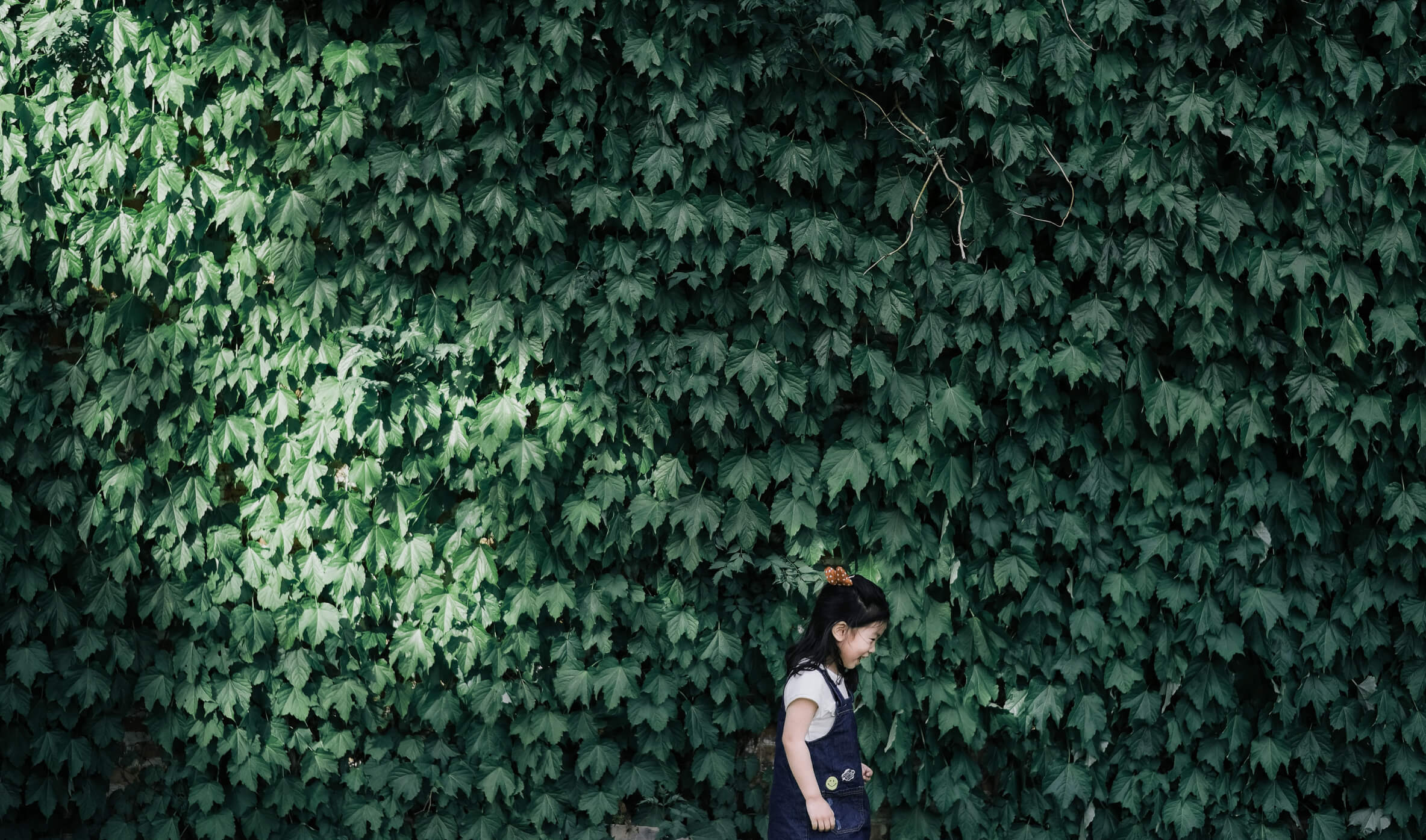 Victory Green – image 3